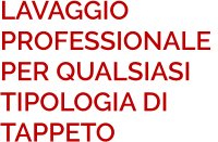 LAVAGGIO  PROFESSIONALE  PER QUALSIASI  TIPOLOGIA DI  TAPPETO